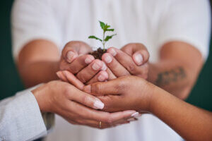 Business people's hands nurturing a young sapling in soil, symbolizing growth and renewal, akin to estate planning for charitable giving.
