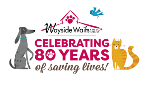 Wayside Waifs logo, celebrating 80 years of saving lives