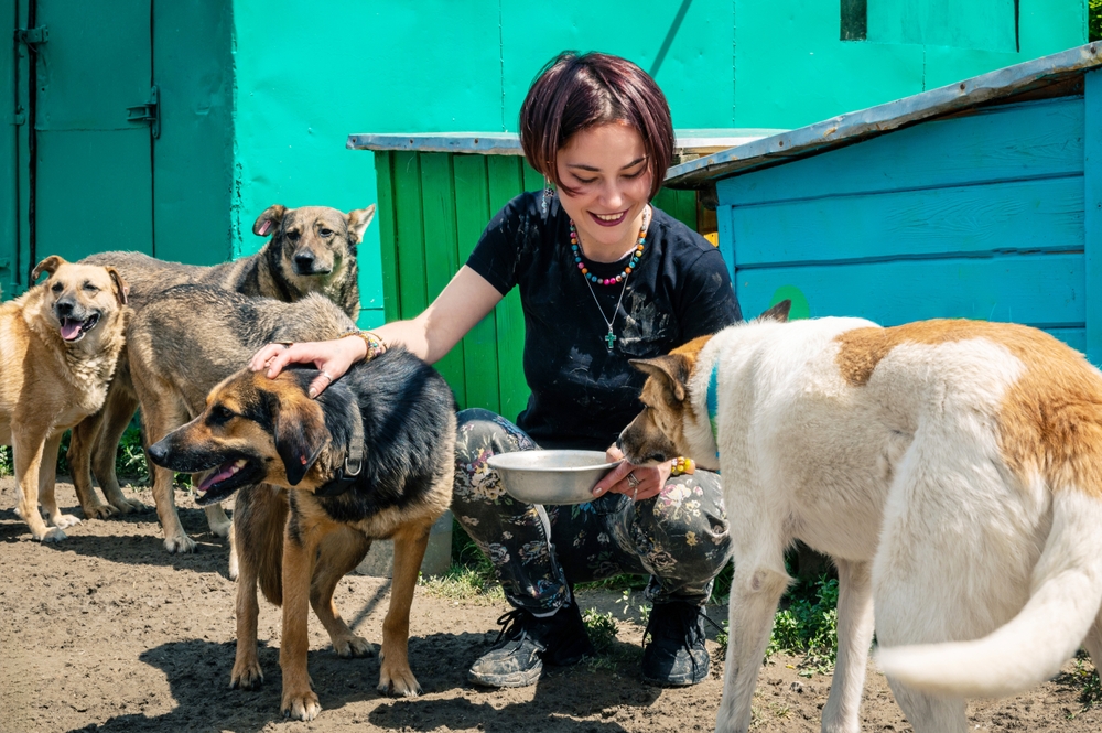 Young woman feeding and caring for dogs at an animal shelter, showing the difference between community service and volunteering through compassionate hands-on support