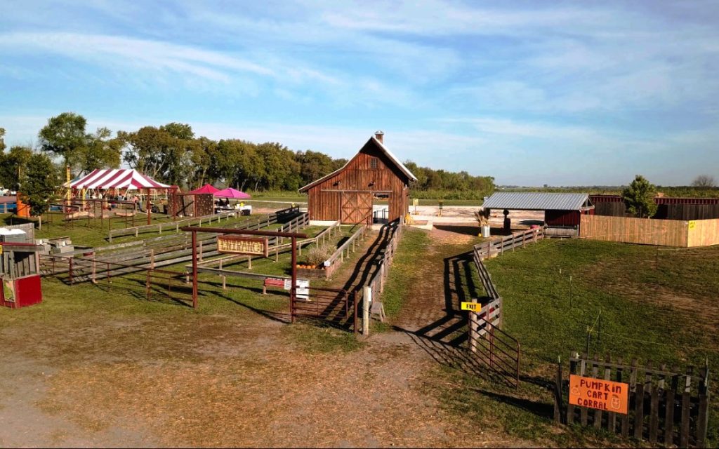 Barns, play areas and the farm grounds at Louisburg Cider Mill in Louisburg